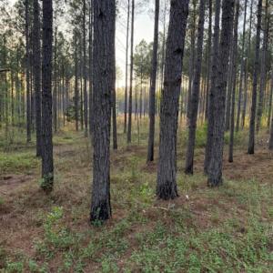 Photo #2 of Spencer Pointe, Lilesville, NC