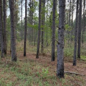 Photo #3 of Spencer Pointe, Lilesville, NC