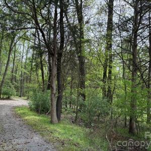 Photo #8 of 1 Miller Pond, Rock Hill, SC
