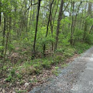 Photo #6 of 1 Miller Pond, Rock Hill, SC
