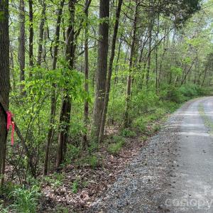 Photo #4 of 1 Miller Pond, Rock Hill, SC