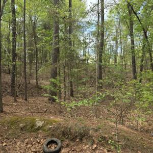 Photo #6 of 2093 Lometa, York, SC