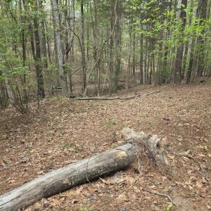 Photo #5 of 2093 Lometa, York, SC