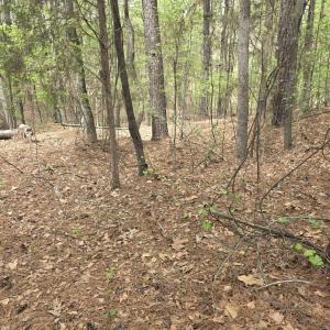 Photo #3 of 2093 Lometa, York, SC