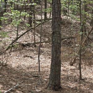 Photo #8 of 2093 Lometa, York, SC