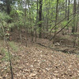 Photo #4 of 2093 Lometa, York, SC