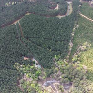 Photo #10 of TBD Spencer Pointe, Lilesville, NC