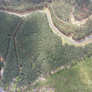 Photo #16 of TBD Spencer Pointe, Lilesville, NC