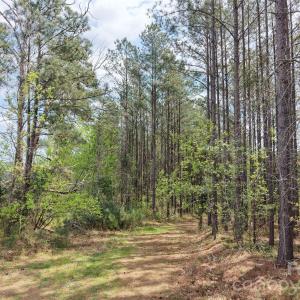 Photo #11 of TBD Spencer Pointe, Lilesville, NC