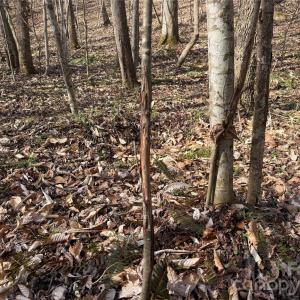 Photo #24 of 1164 Robert C Kellam, Pinnacle, NC