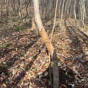 Photo #28 of 1164 Robert C Kellam, Pinnacle, NC