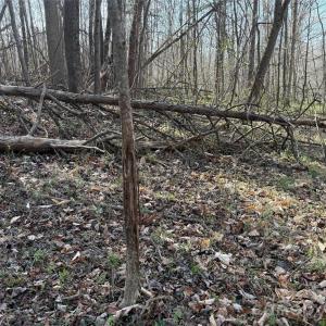 Photo #17 of 1164 Robert C Kellam, Pinnacle, NC