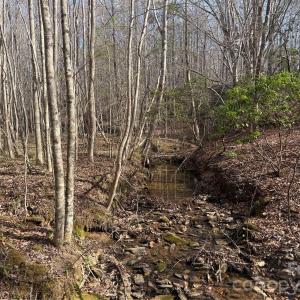 Photo #33 of 1164 Robert C Kellam, Pinnacle, NC