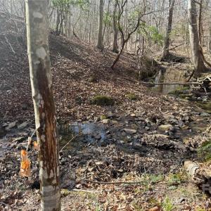 Photo #31 of 1164 Robert C Kellam, Pinnacle, NC