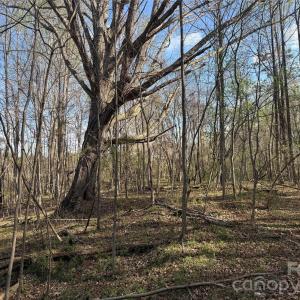 Photo #16 of 1164 Robert C Kellam, Pinnacle, NC