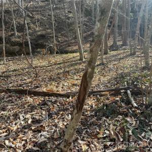 Photo #25 of 1164 Robert C Kellam, Pinnacle, NC