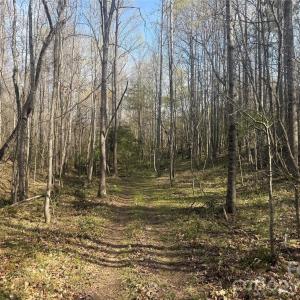 Photo #45 of 1164 Robert C Kellam, Pinnacle, NC