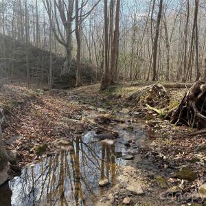 Photo #27 of 1164 Robert C Kellam, Pinnacle, NC