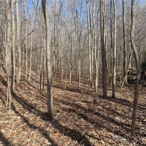 Photo #35 of 1164 Robert C Kellam, Pinnacle, NC