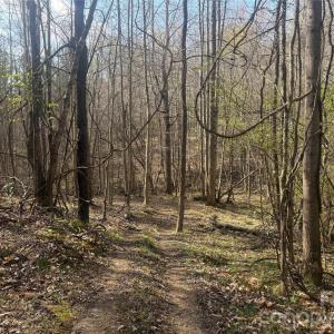 Photo #44 of 1164 Robert C Kellam, Pinnacle, NC