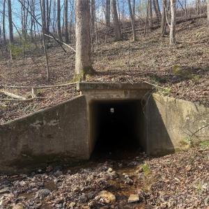 Photo #38 of 1164 Robert C Kellam, Pinnacle, NC