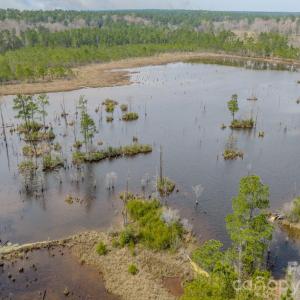 Photo #32 of Lobelia, Vass, NC