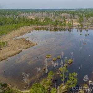 Photo #31 of Lobelia, Vass, NC