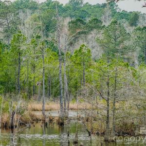 Photo #39 of Lobelia, Vass, NC