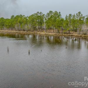 Photo #34 of Lobelia, Vass, NC