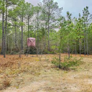 Photo #28 of Lobelia, Vass, NC