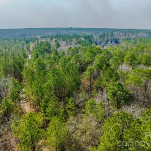 Photo #44 of Lobelia, Vass, NC