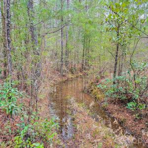 Photo #38 of Lobelia, Vass, NC