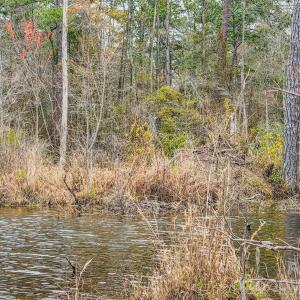 Photo #42 of Lobelia, Vass, NC