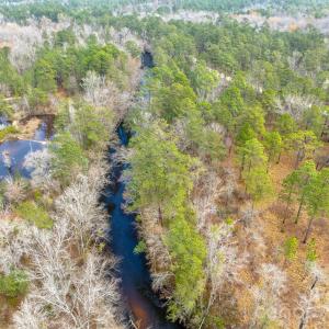 Photo #12 of Lobelia, Vass, NC