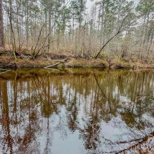 Photo #41 of Lobelia, Vass, NC