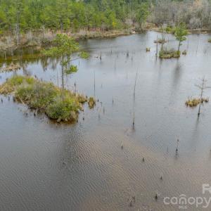 Photo #3 of Lobelia, Vass, NC