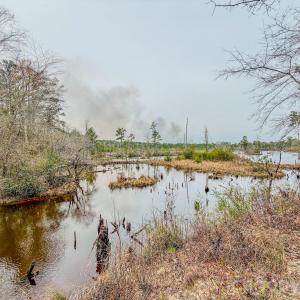 Photo #23 of Lobelia, Vass, NC