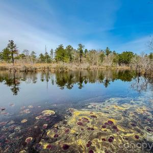 Photo #9 of Lobelia, Vass, NC