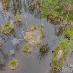 Photo #35 of Lobelia, Vass, NC