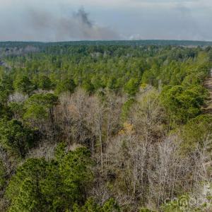 Photo #45 of Lobelia, Vass, NC