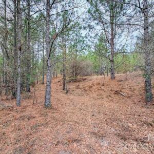 Photo #15 of Lobelia, Vass, NC