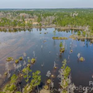 Photo #30 of Lobelia, Vass, NC