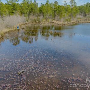 Photo #33 of Lobelia, Vass, NC