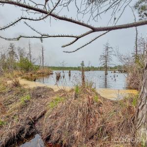 Photo #21 of Lobelia, Vass, NC