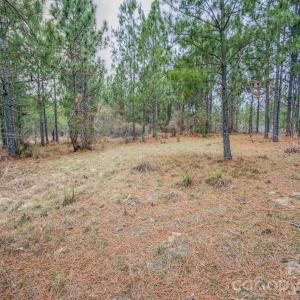 Photo #36 of Lobelia, Vass, NC