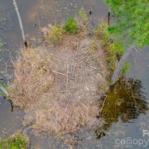 Photo #5 of Lobelia, Vass, NC