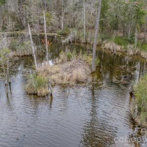 Photo #4 of Lobelia, Vass, NC