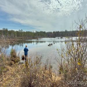 Photo #6 of Lobelia, Vass, NC