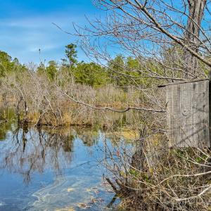 Photo #8 of Lobelia, Vass, NC
