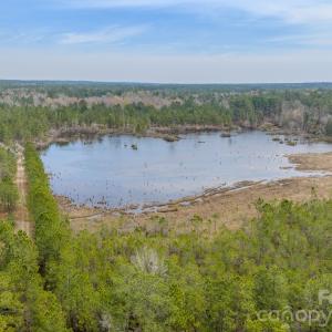 Photo #11 of Lobelia, Vass, NC